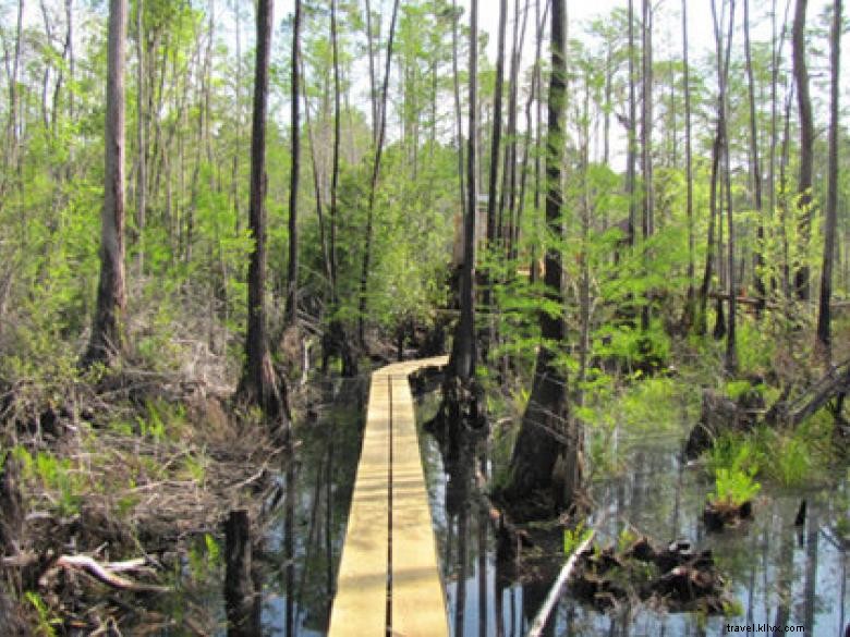 Okefenokee Swamp Park – Scenic Boardwalks, Wildlife Watching & Visitor Center in Georgia’s Largest Swamp