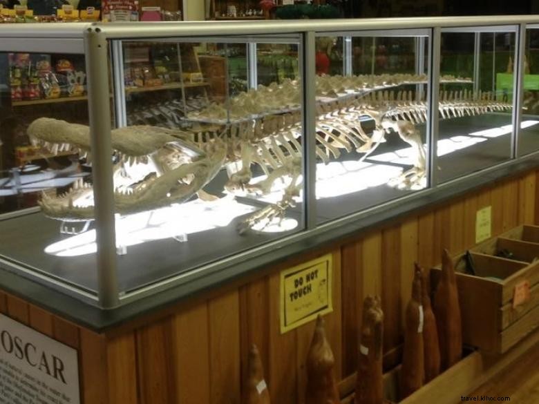 Okefenokee Swamp Park – Scenic Boardwalks, Wildlife Watching & Visitor Center in Georgia’s Largest Swamp