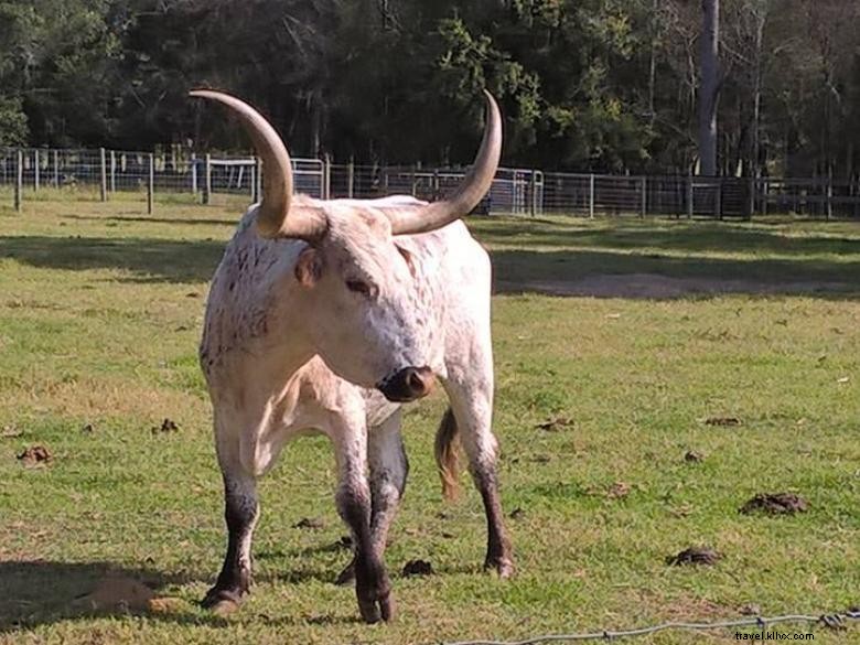 Calhoun Produce, Inc. – Premium Fresh Produce Delivered Straight from the Farm