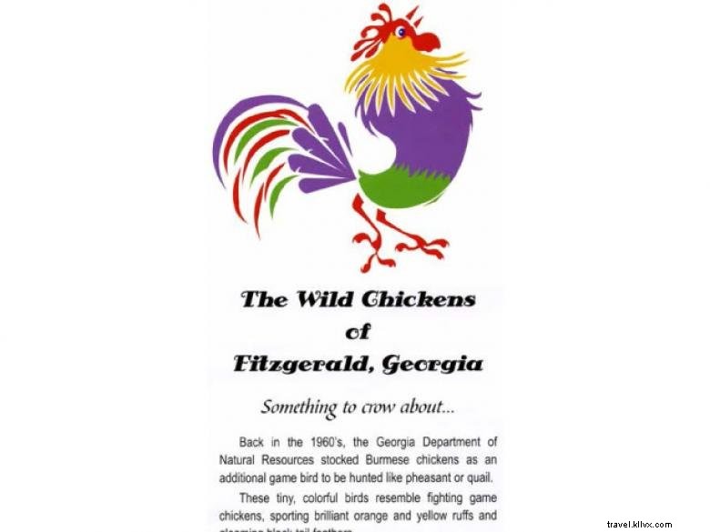 Wild Chickens of Fitzgerald: A Captivating Look at Local Avian Beauty