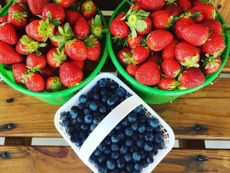 Southern Grace Farms: Sustainable Organic Farming in the South