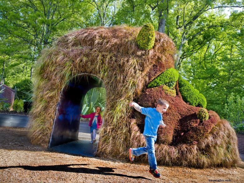 Explore the Stunning Atlanta Botanical Garden: A Green Oasis in the Heart of the City