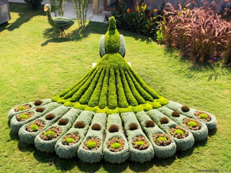 Explore the Stunning Atlanta Botanical Garden: A Green Oasis in the Heart of the City