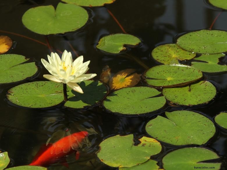 Discover Olde Town Conyers: Historic Entertainment Hub