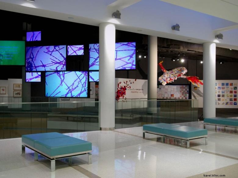 Explore the David J. Sencer CDC Museum – A Tribute to Public Health Innovation