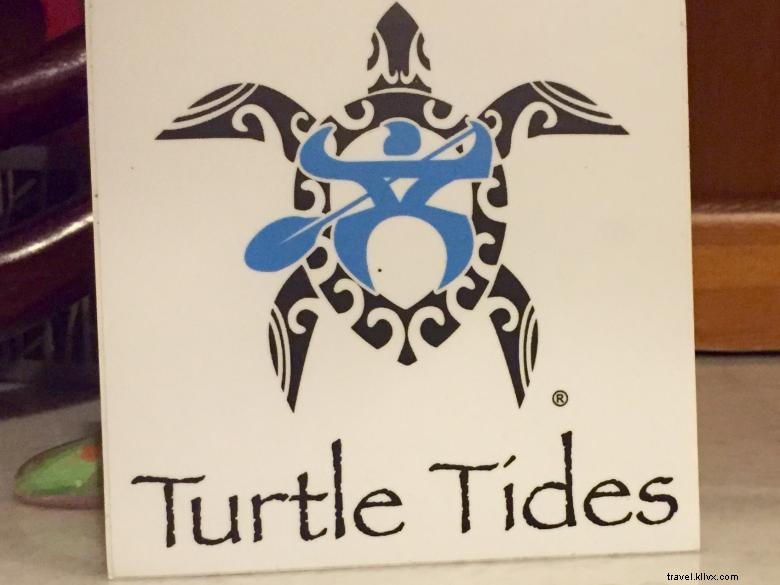 Explore Turtle Tides: Premium Rentals & Tours in Jekyll