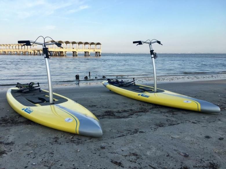 Explore Turtle Tides: Premium Rentals & Tours in Jekyll