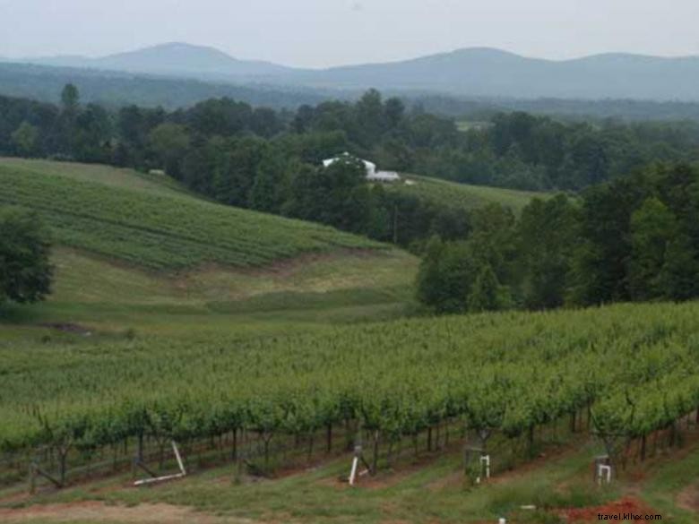Paddys Taxi: Georgia’s Largest Vehicle Fleet in the Northeast Mountains