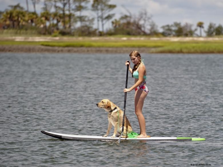 East Coast Paddleboarding: Your Ultimate Guide to Routes, Tips, and Adventure