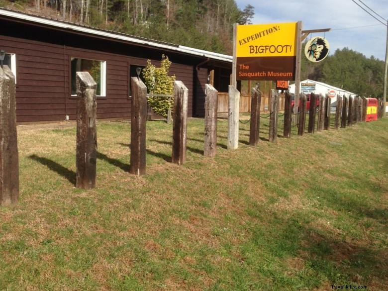 Expedition to Find Bigfoot: A Trusted Guide