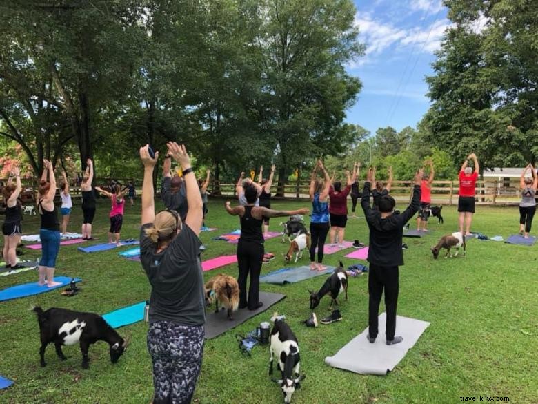 Six Acres Farm Rescue: Reviving Sustainable Agriculture