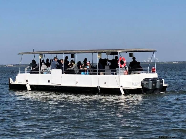 Lighthouse Trolleys: Scenic Tours on St. Simons Island, Coastal Georgia