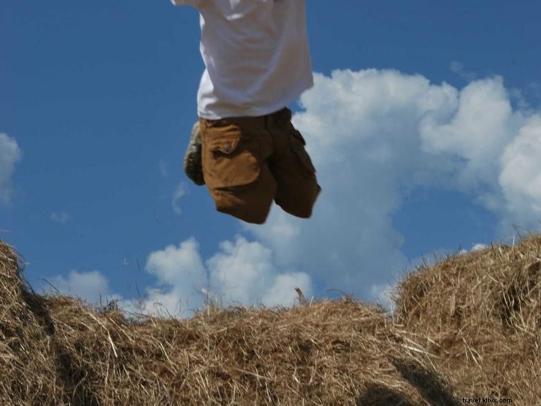 Steed s Dairy – Premium Fresh Milk & Local Products