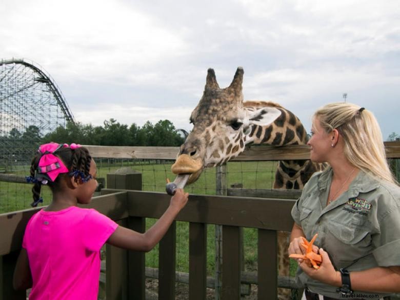 Wild Adventures Theme Park: Thrilling Rides & Family Fun