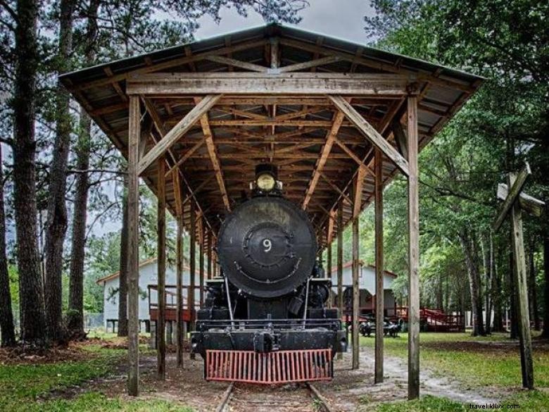 Explore the Okefenokee Heritage Center: History, Culture, and Natural Beauty