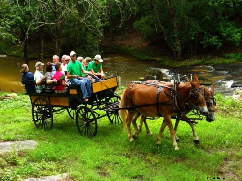 Explore Hewell s Farm: Pottery, Mule Carriage Rides & Animal Encounters