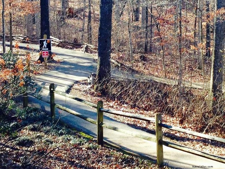 Explore Sawnee Mountain Preserve: Nature, Hiking, and Scenic Views