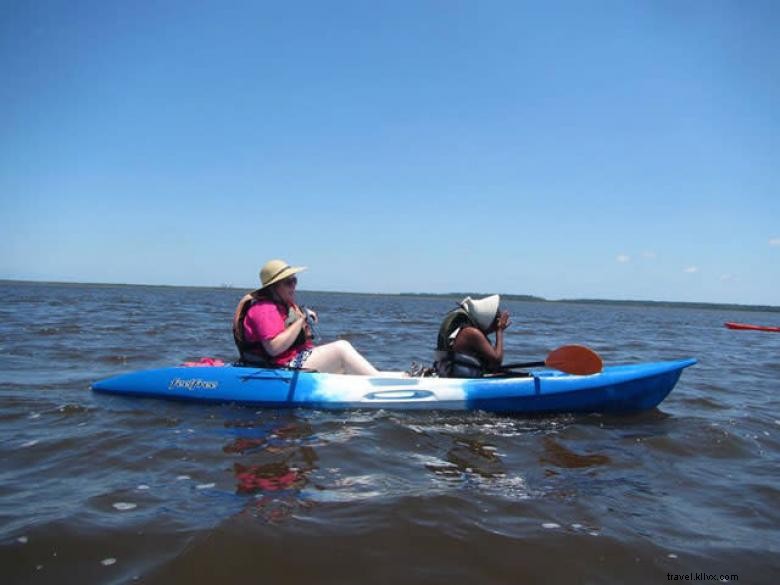 Knuckleheads, St. Marys: Modern Coastal Living