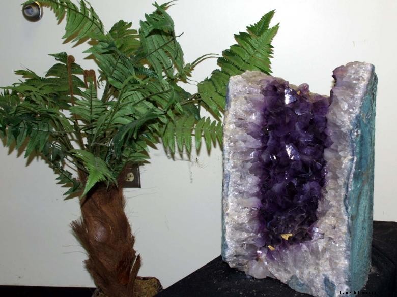 Explore the Natural History Museum at Georgia College & State University