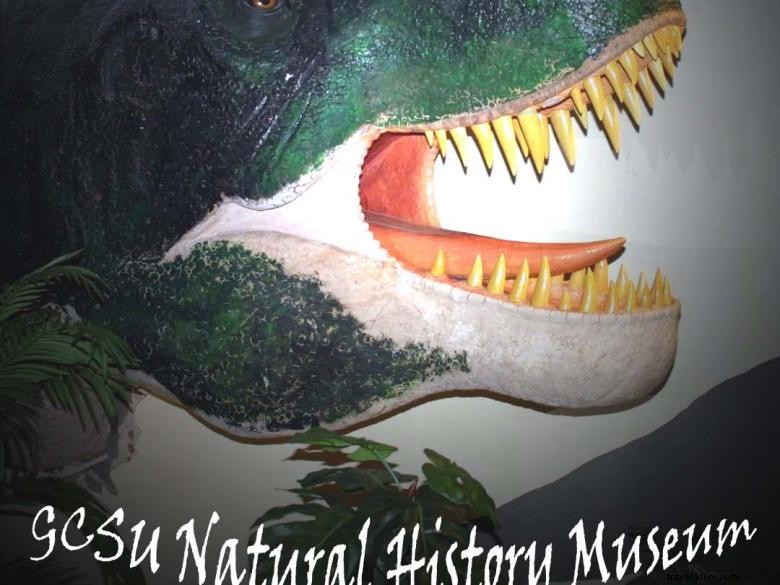 Explore the Natural History Museum at Georgia College & State University