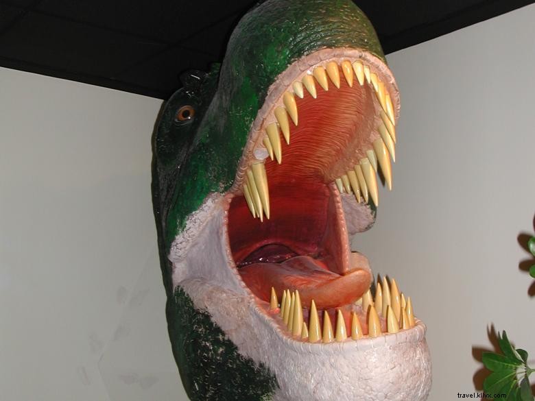 Explore the Natural History Museum at Georgia College & State University