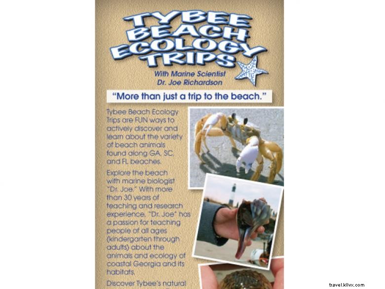 Explore Tybee Beach: Guided Ecology Tours for Nature Enthusiasts