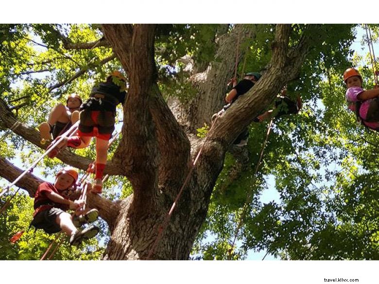 Elachee Nature Science Center: Interactive Learning Hub