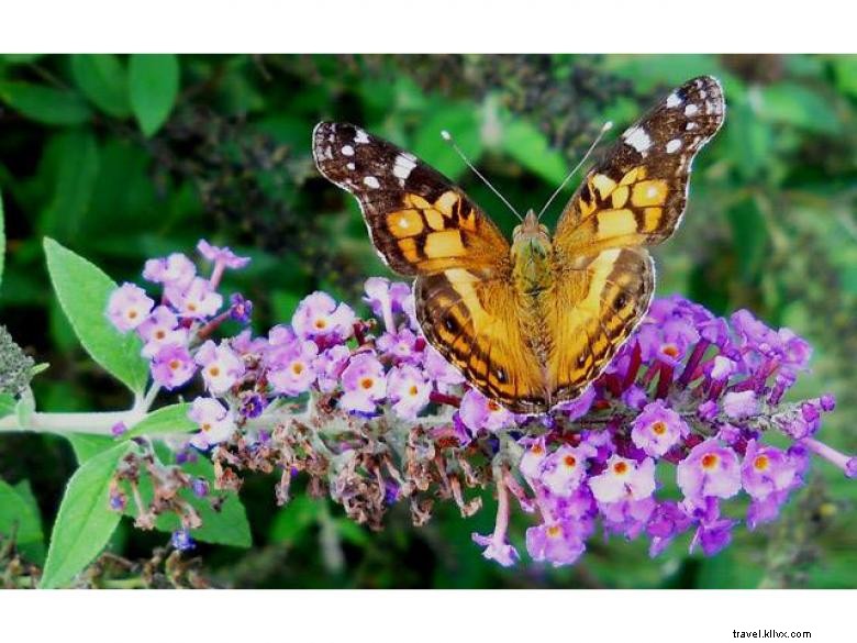 Elachee Nature Science Center: Interactive Learning Hub