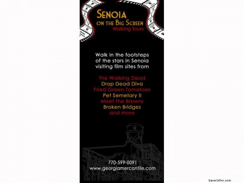 Explore Georgia with Our Premier Tour Company