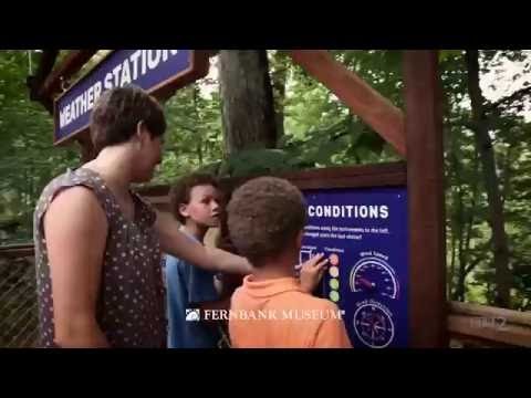 Discover the Fernbank Museum of Natural History: Explore Nature & Science