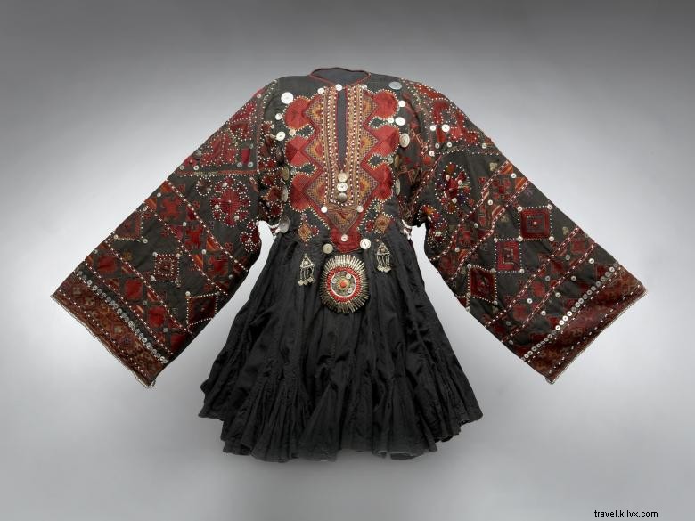 Discover the Fernbank Museum of Natural History: Explore Nature & Science