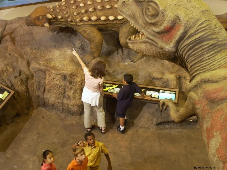 Discover the Fernbank Museum of Natural History: Explore Nature & Science
