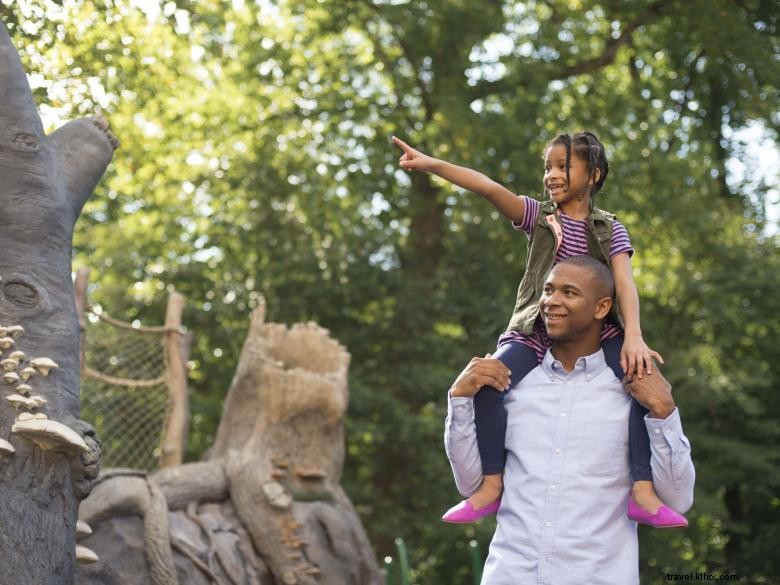 Discover the Fernbank Museum of Natural History: Explore Nature & Science