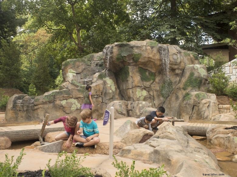 Discover the Fernbank Museum of Natural History: Explore Nature & Science