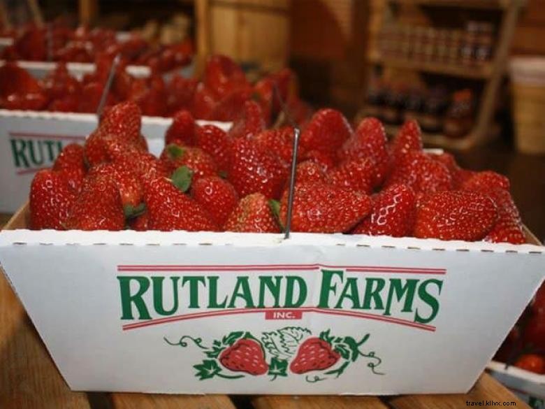Rutland Farms Market: Fresh Produce & Scenic Experience