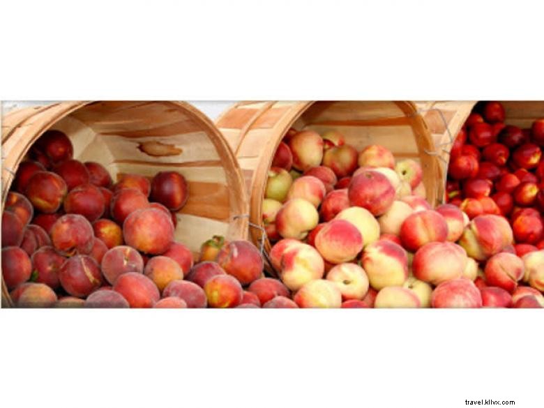 Rutland Farms Market: Fresh Produce & Scenic Experience