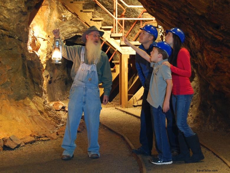 Consolidated Gold Mines: Leading Expertise in Gold Extraction