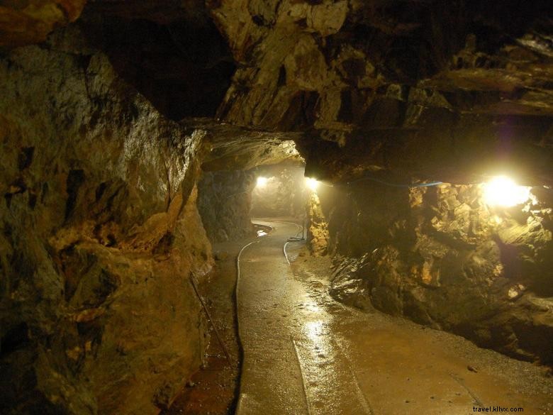 Consolidated Gold Mines: Leading Expertise in Gold Extraction