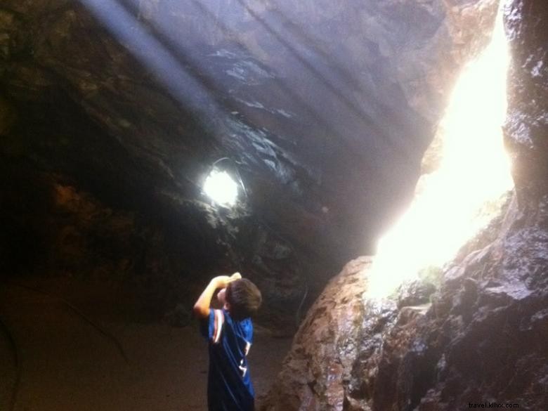 Consolidated Gold Mines: Leading Expertise in Gold Extraction