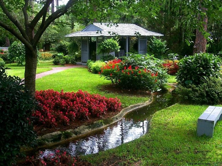 Guido Gardens: Transform Your Outdoor Space