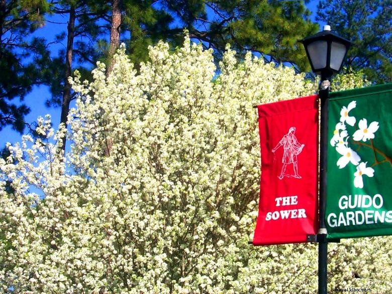 Guido Gardens: Transform Your Outdoor Space