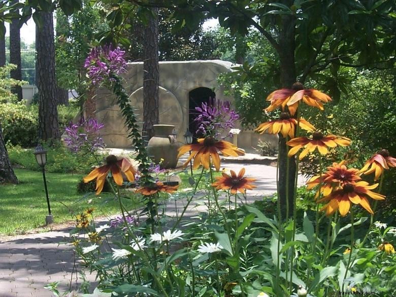 Guido Gardens: Transform Your Outdoor Space