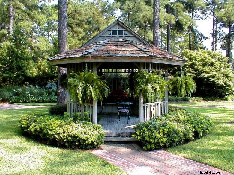 Guido Gardens: Transform Your Outdoor Space