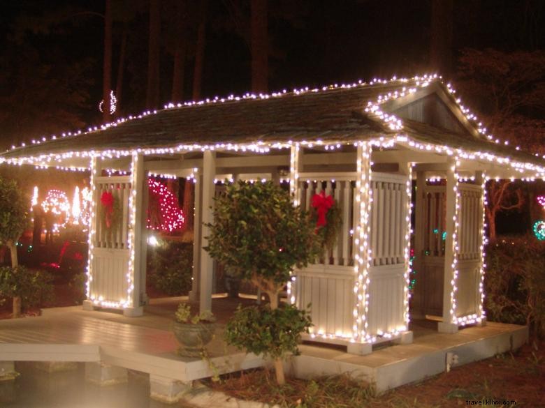 Guido Gardens: Transform Your Outdoor Space