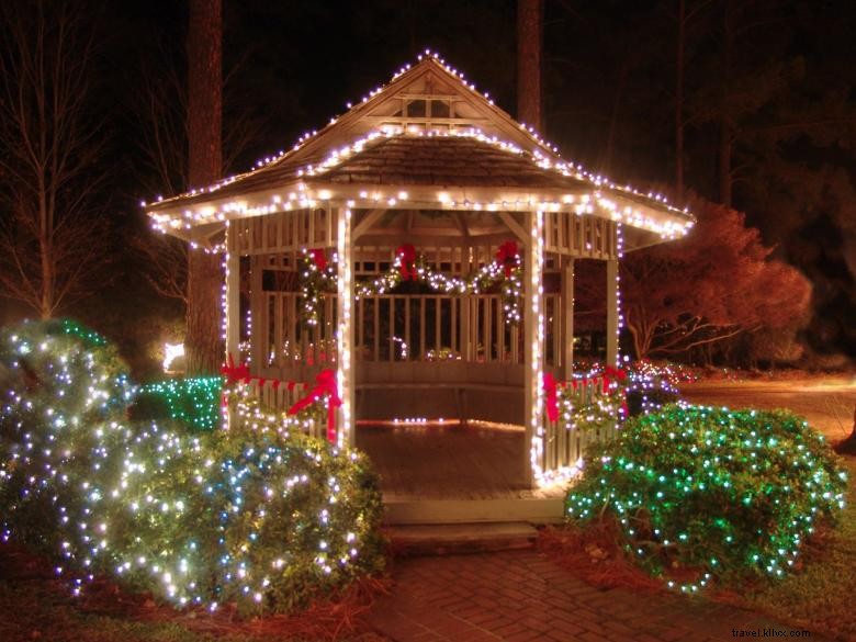 Guido Gardens: Transform Your Outdoor Space