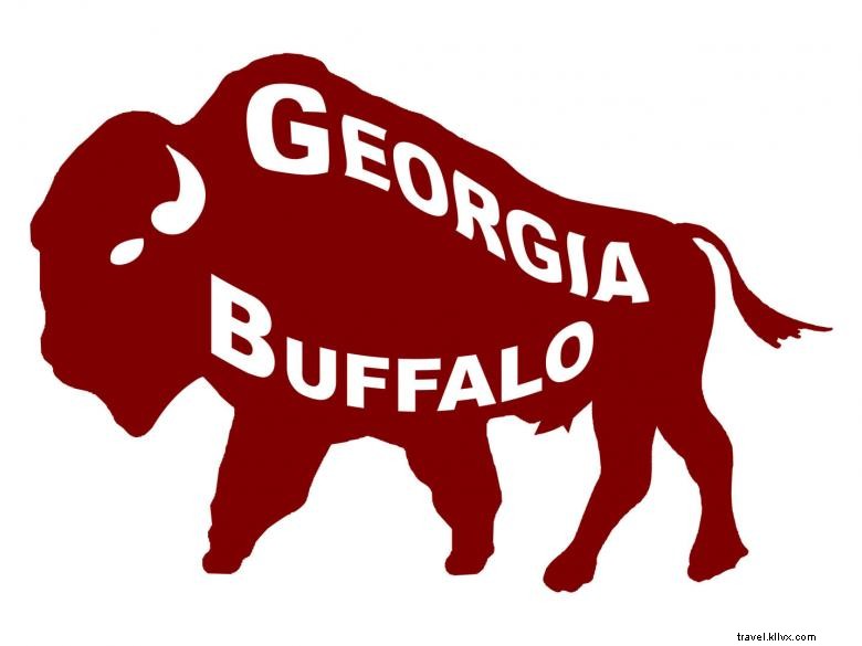Explore the Georgia Buffalo Ranch & Trading Post: Wildlife & Bison Adventures