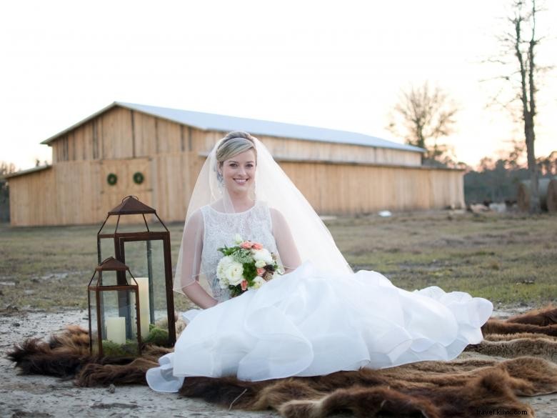 Explore the Georgia Buffalo Ranch & Trading Post: Wildlife & Bison Adventures