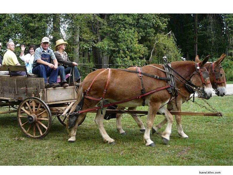 Explore the Ty Cobb Museum: Honoring Baseball Legend