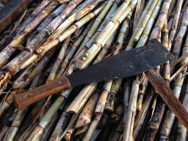 Richland Distilling Company: Premium Rum Distillery in Richland