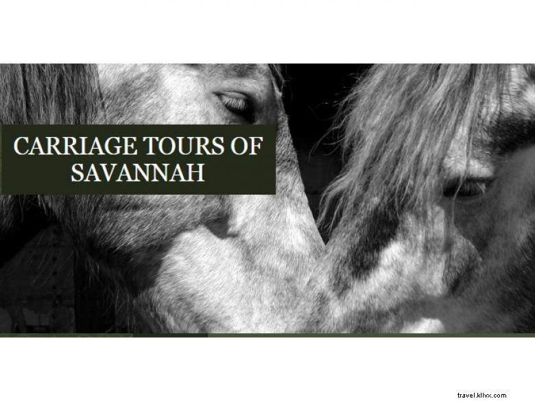 Authentic Savannah Carriage Tours: Experience Coastal Georgia’s Historic Charm